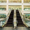 Escalator, Moving Walk with 800mm S/S Step